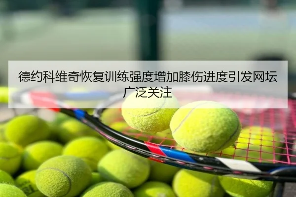 德约科维奇恢复训练强度增加膝伤进度引发网坛广泛关注