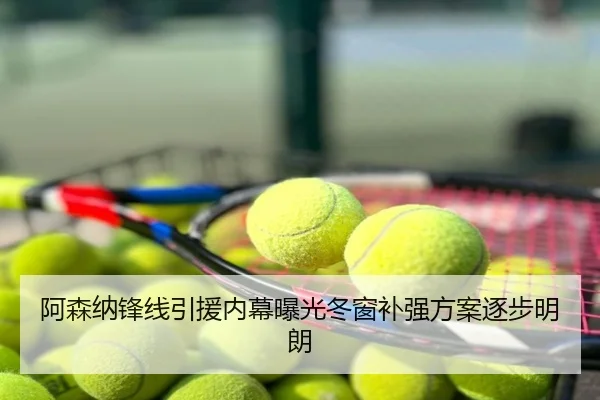 阿森纳锋线引援内幕曝光冬窗补强方案逐步明朗